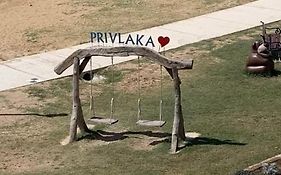 Privlaka 1